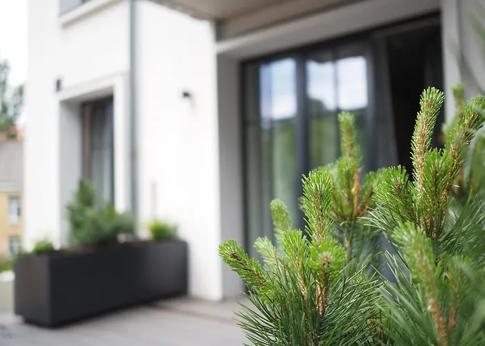 Garden Hill Daire Vilnius